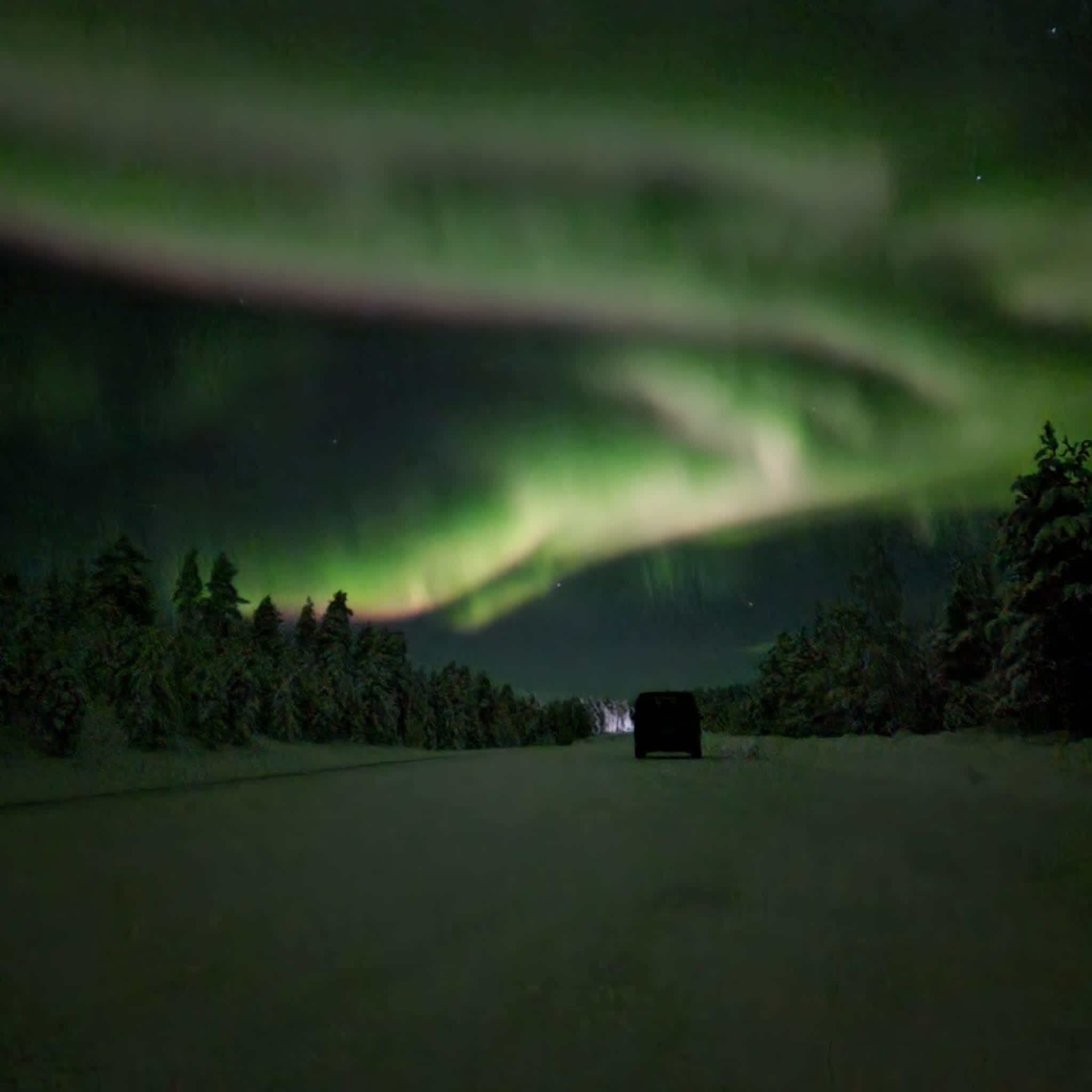 Winter & Wildlife Adventure at Hotelli Kultahippu