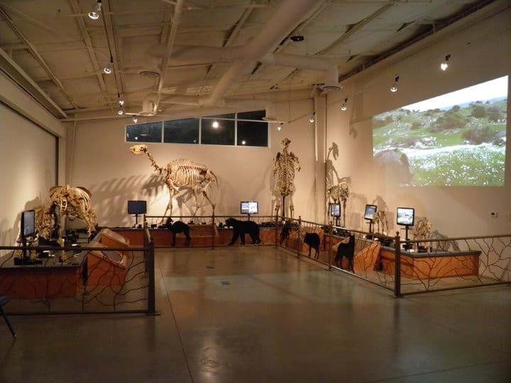 After-Hours Events at Fossil Discovery Center in Chowchilla — Host an Unforgettable Museum Gathering photo 1