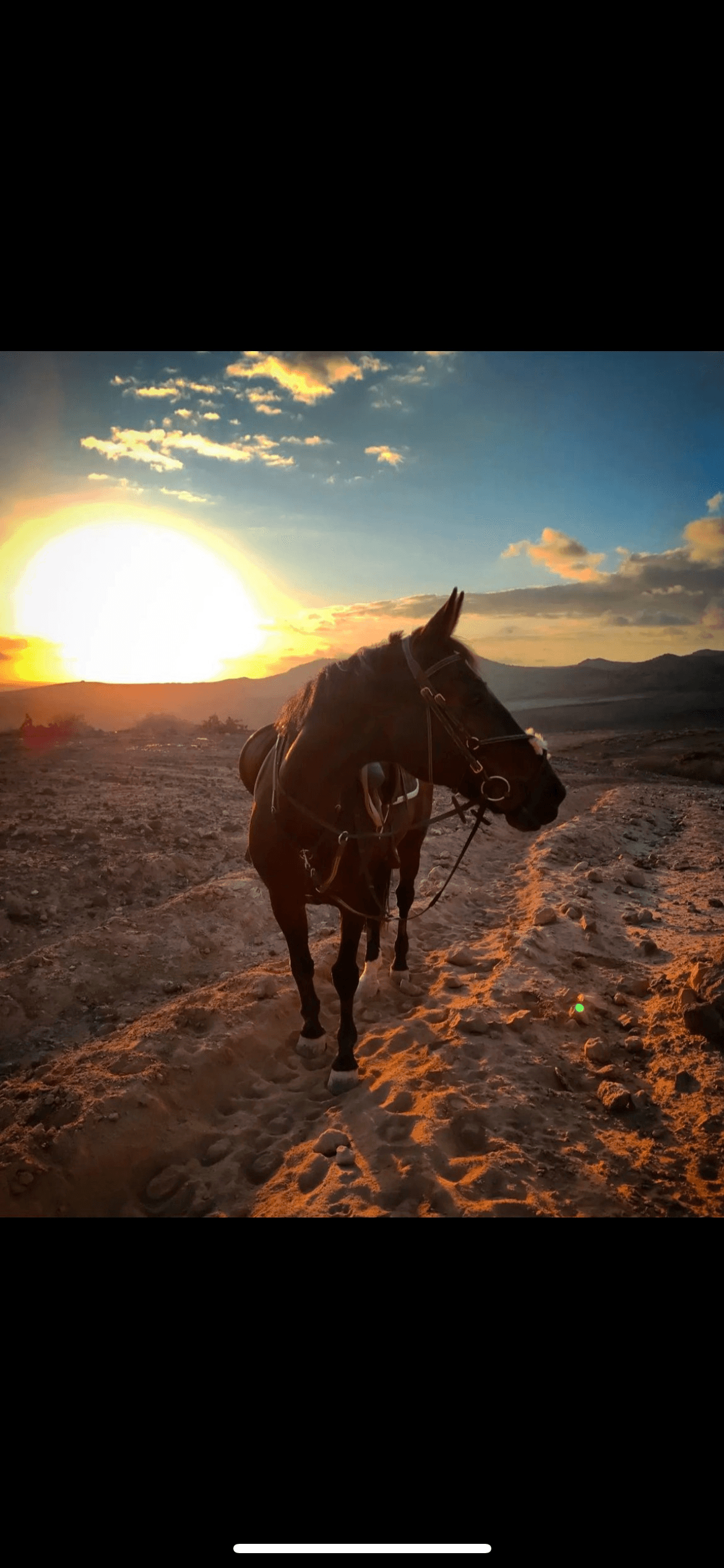 Sunset Horseback Rides with El Salobre Horse Riding