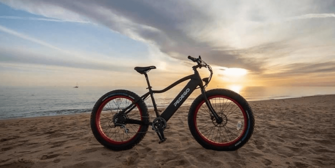 Explore Bar Harbor with Half Day Ebike Rentals