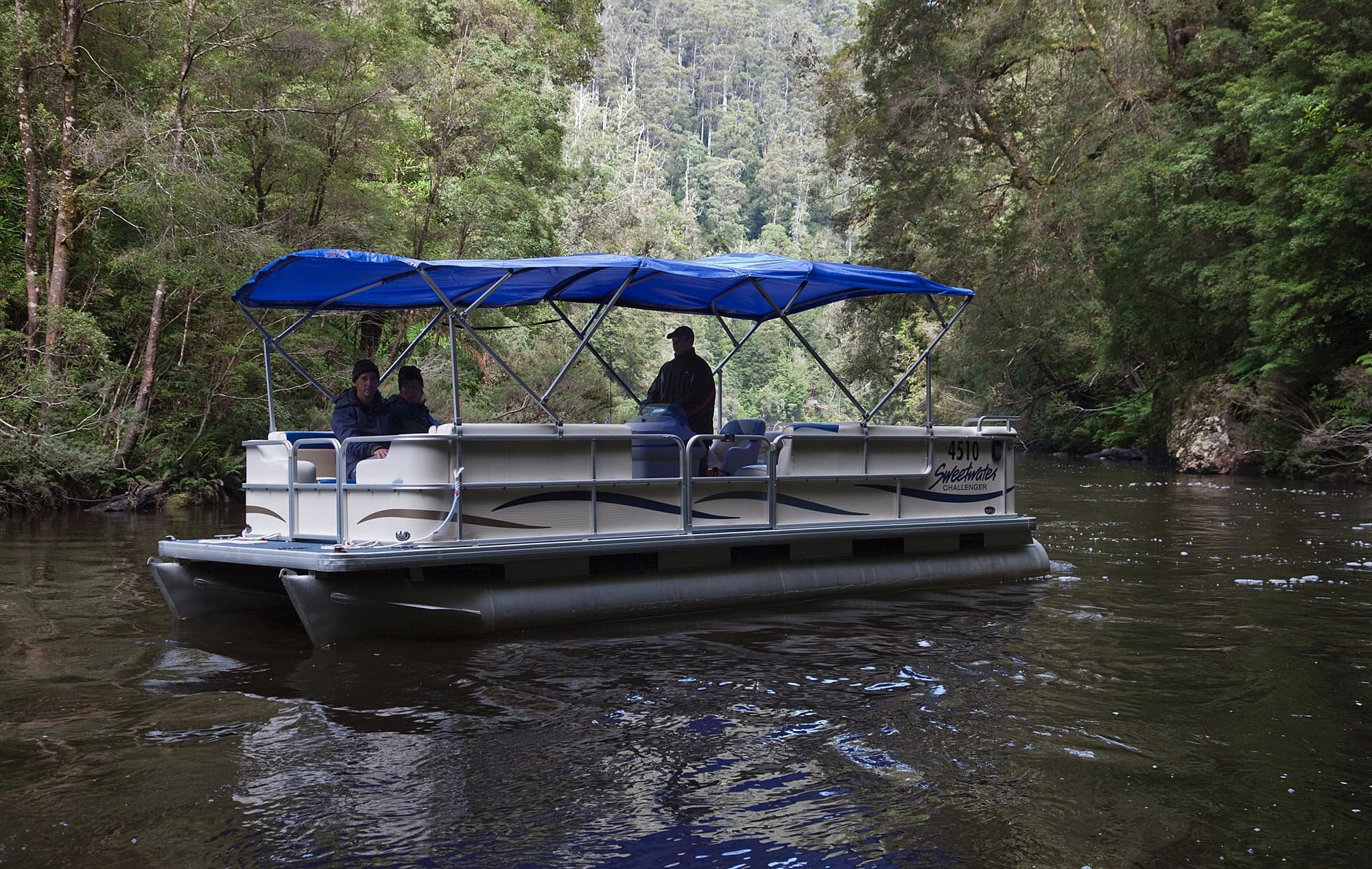Covered pontoon boat floating on shaded forest river tour