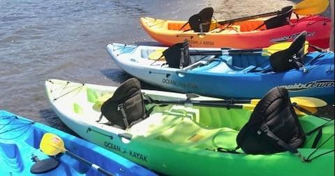 Colorful kayaks lined up on sandy shore ready for rental trips