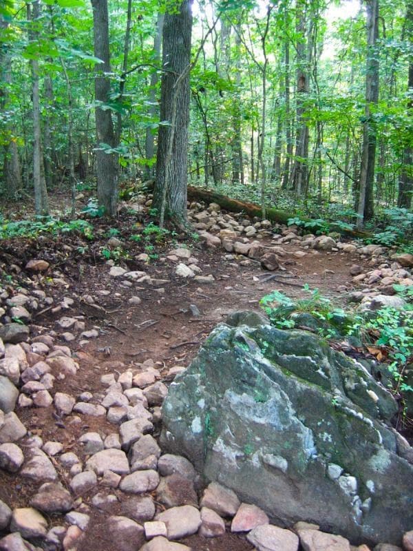Mountain Biking Skills at Blankets Creek with Dynamic Cycling Adventures