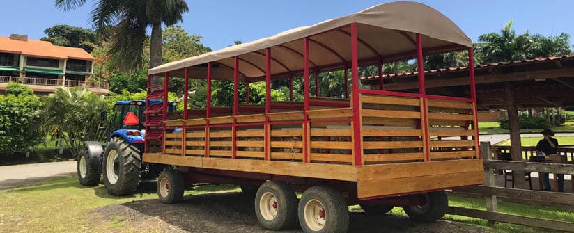 Wooden covered hayride wagon parked on tropical rainforest lawn