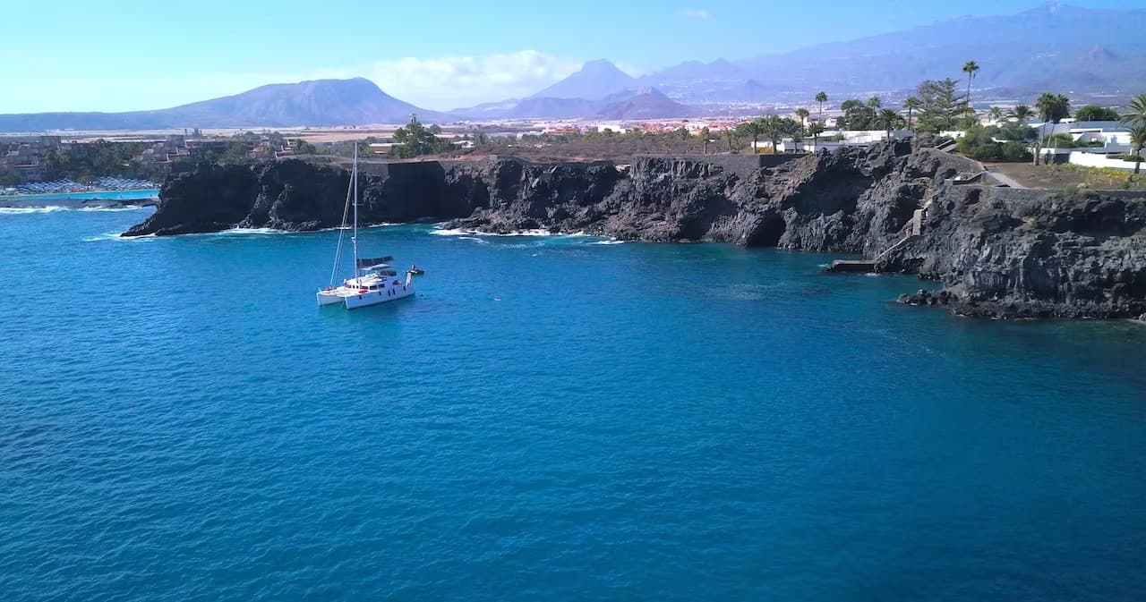 Small-Group Catamaran Whale Watching in Tenerife — Shared Charter from Marina del Sur