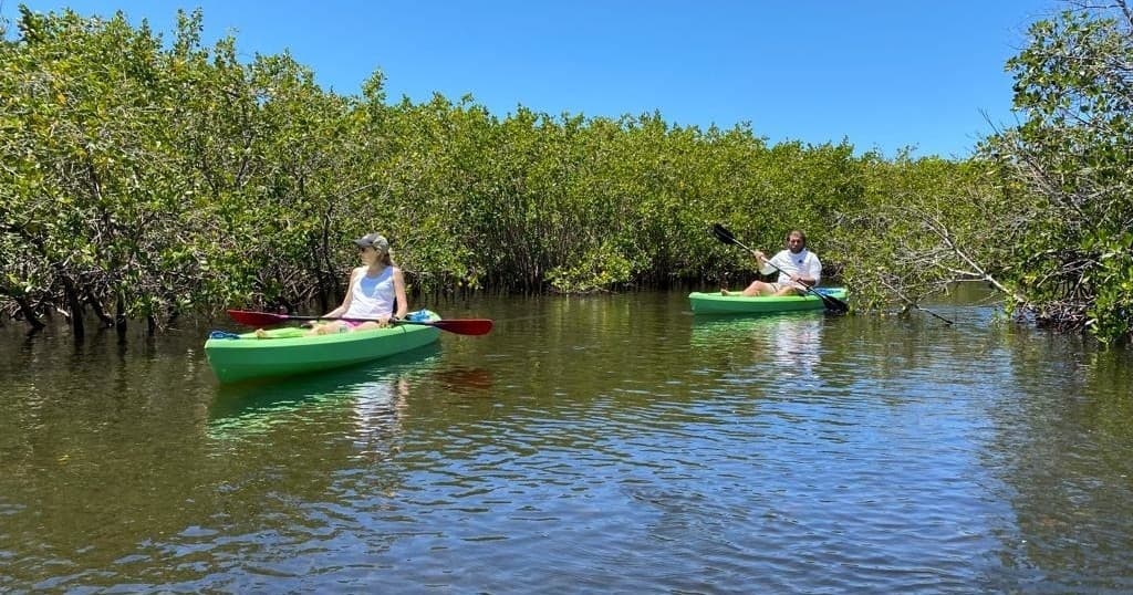 River Wild Kayaking LLC fleet