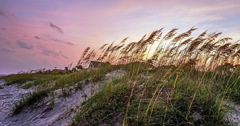 Explore Hilton Head Island on Two Wheels: Four-Day Bike Rental Adventure