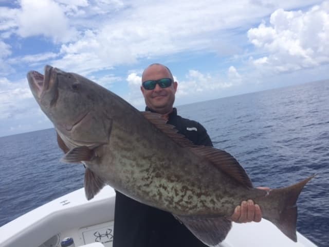 Offshore Fishing with Elcapitanos Offshore LLC. in Madeira Beach