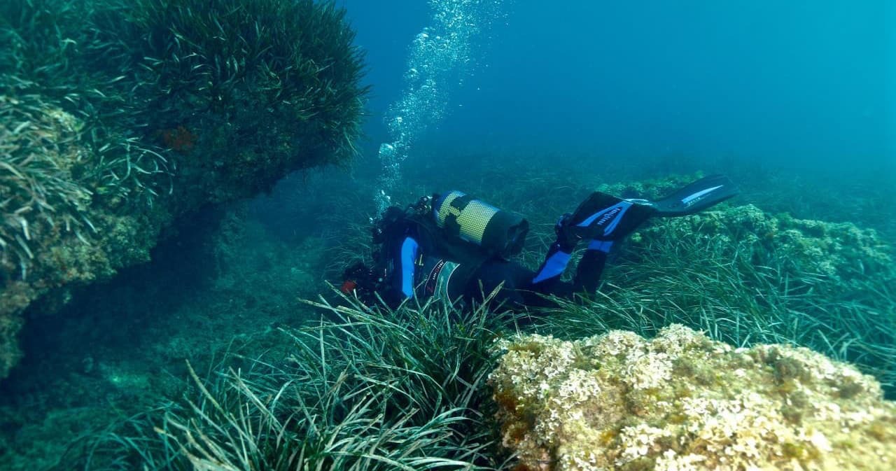 Scuba Diving Adventure at Nautic Parc Costa Daurada I Terres De L’Ebre