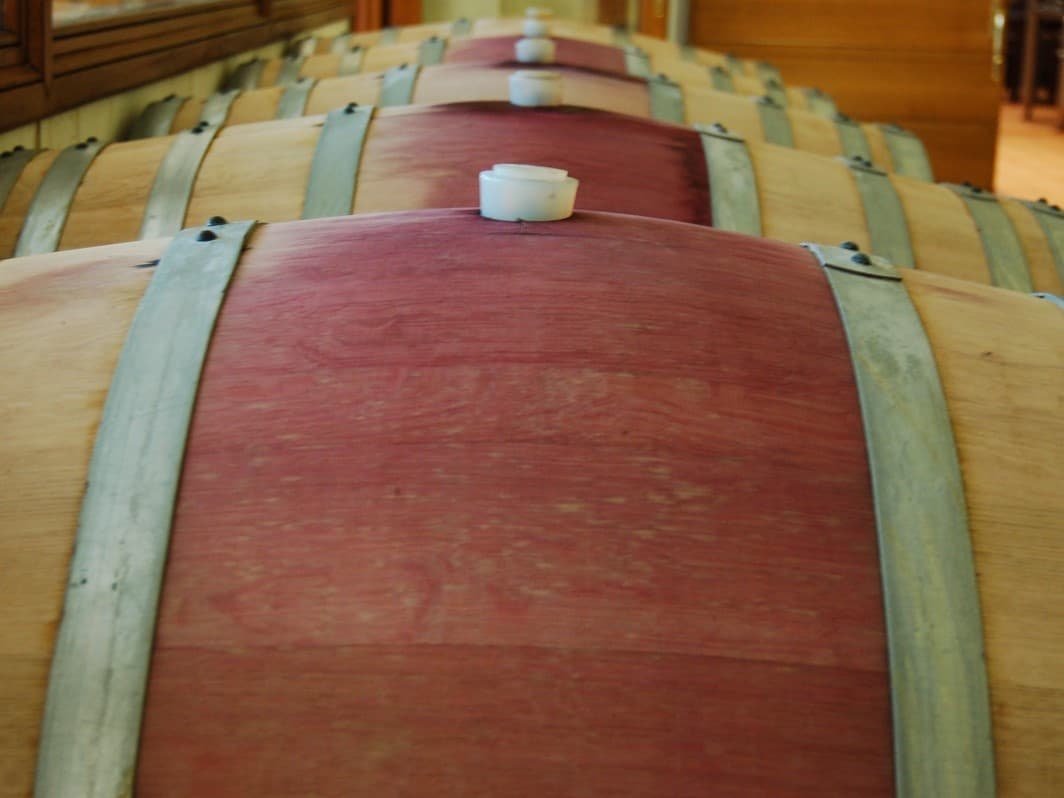 Land Adventures: Lucca Countryside Wine Tour Review