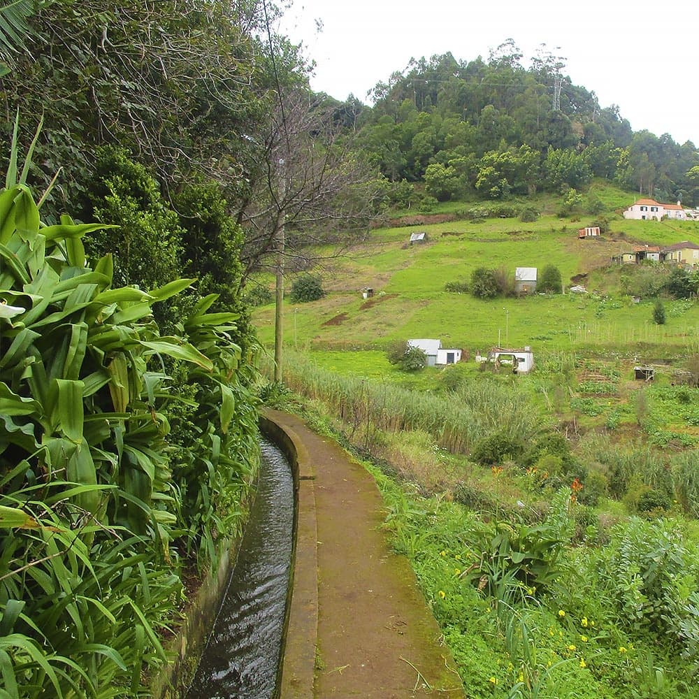 Castelejo Coastline Adventure with Experiences Madeira