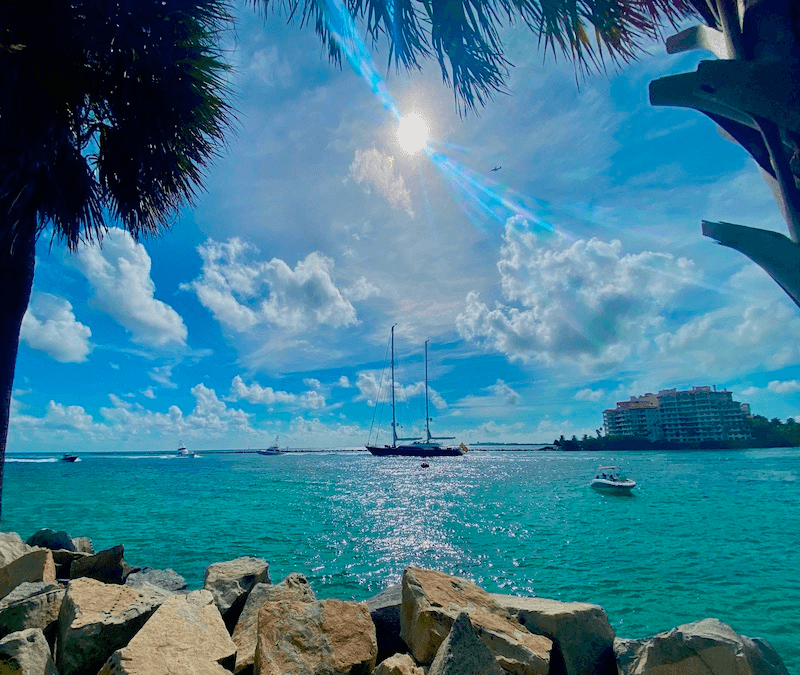 Explore Miami’s Hidden Gems: Waterfront Views and Museum Walking Tour