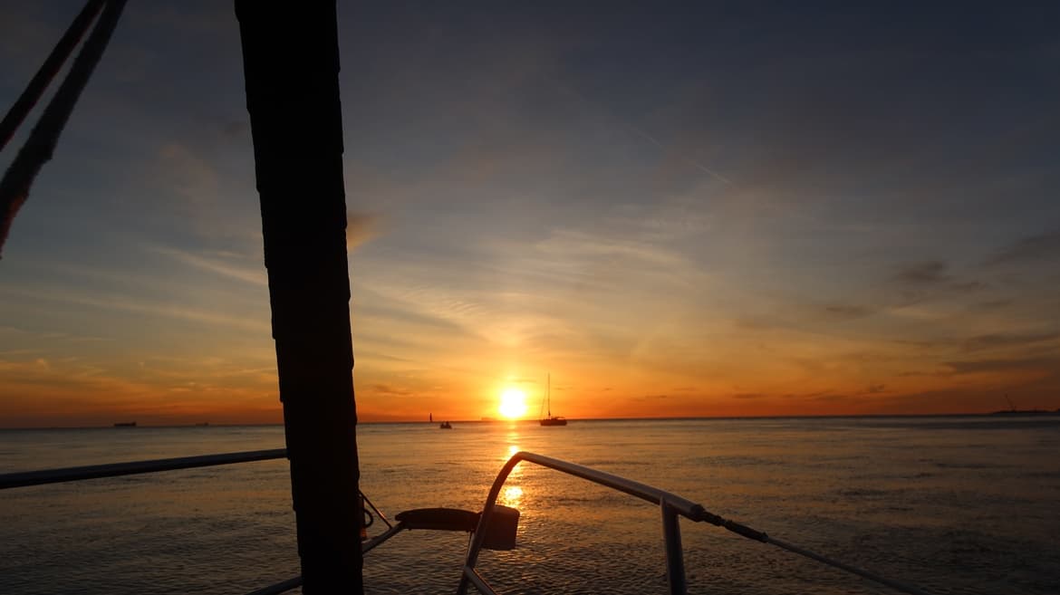 Shared Sightseeing & Sunset Cruise with Don't Worry Douro in Porto