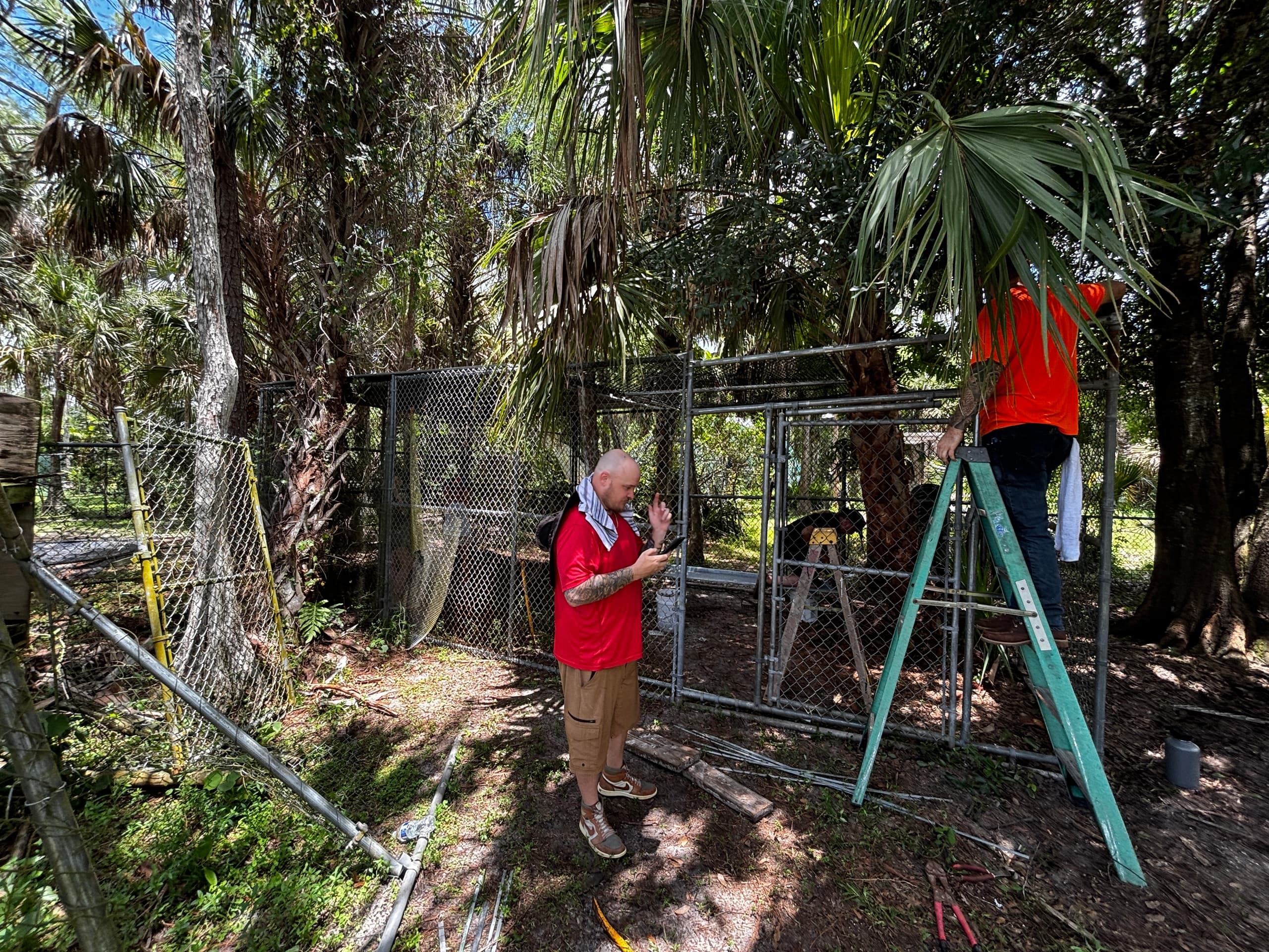 Roar & Restore: Volunteer Work Days at Kowiachobee Animal Preserve in Naples