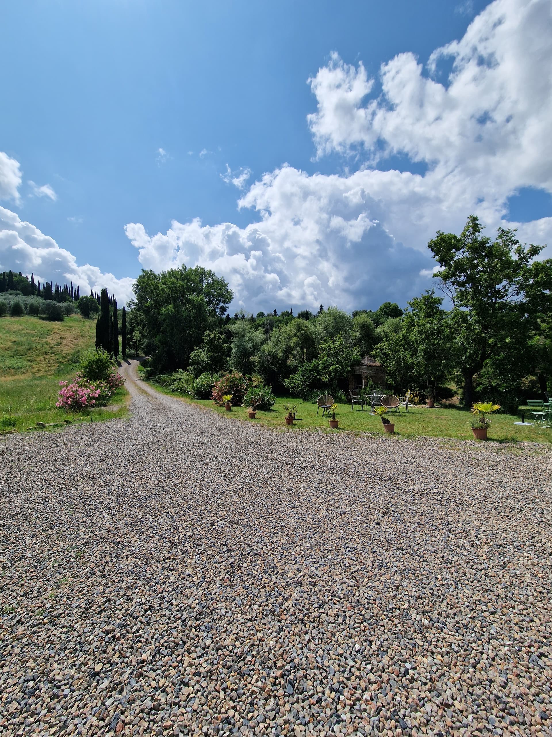 tuscany-countryside-drive-and-corbucci-wine-tasting-san-gimignano