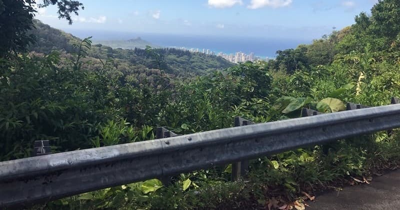 Jungle Hike Adventure in Honolulu, Hawaii