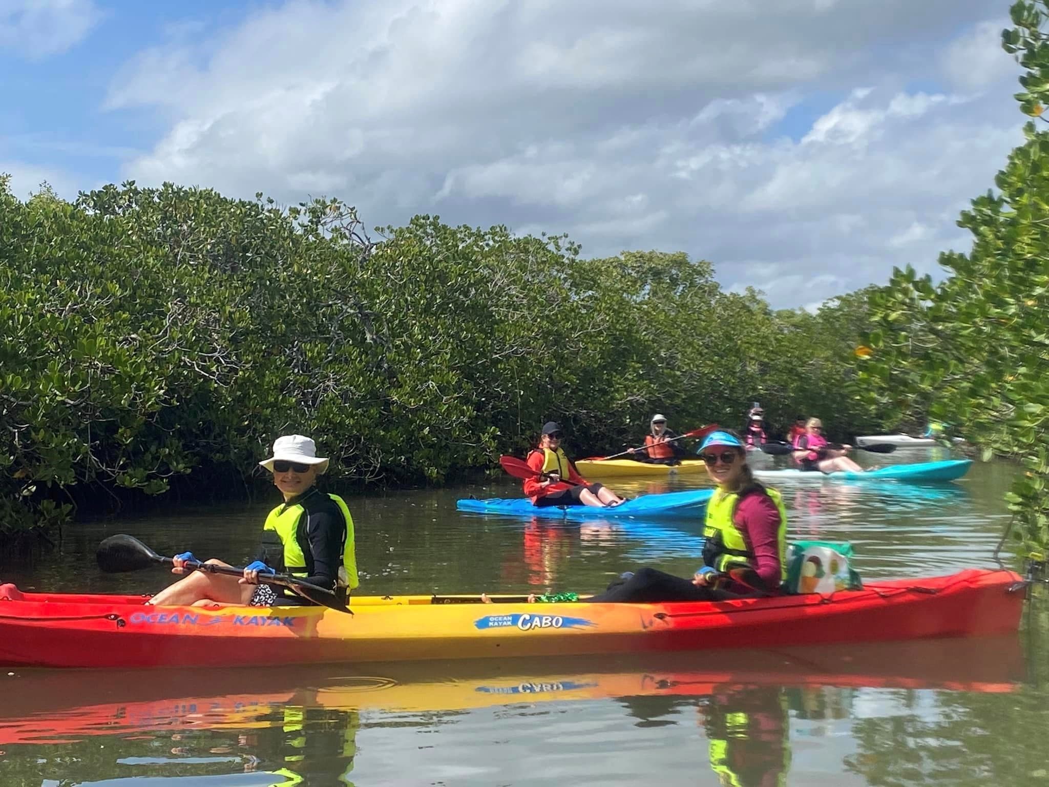 Guided Kayak Tour on Noosa River Mangroves & Mansions