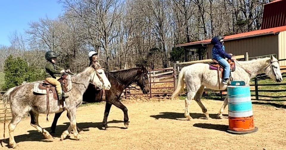 Tiny Tots Half Lessons: Hands-On Western Horsemanship for Kids in Park City, Kentucky
