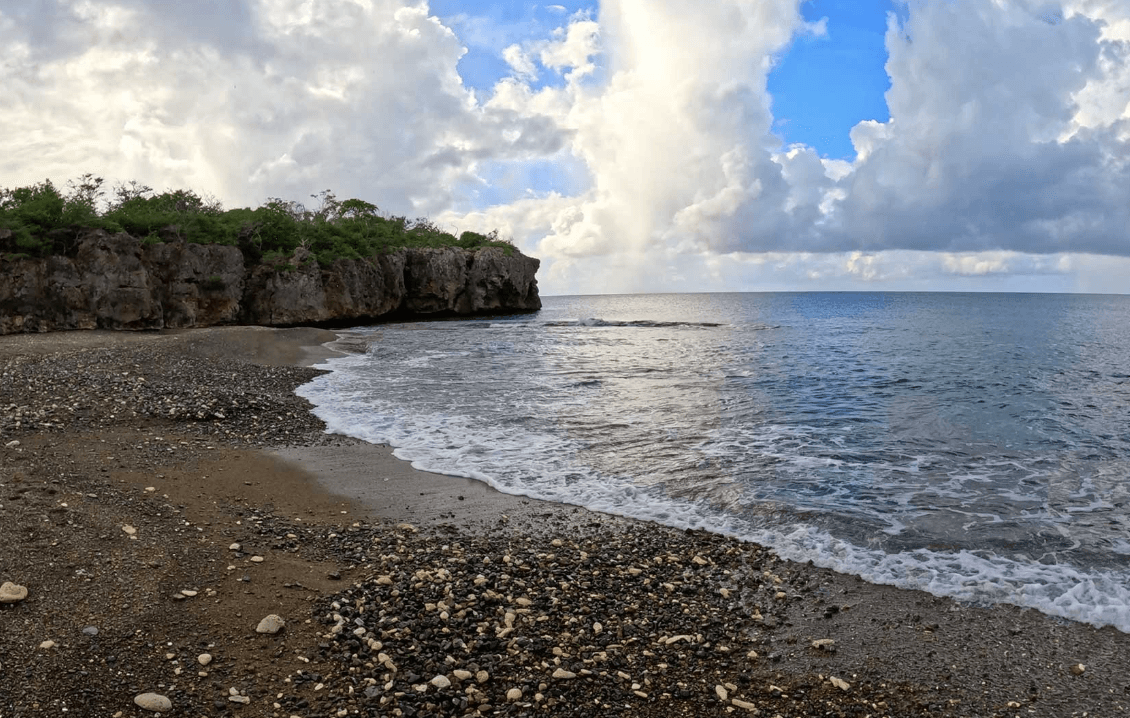 Hiking Coastal Trails with Bearded Butlers Curacao
