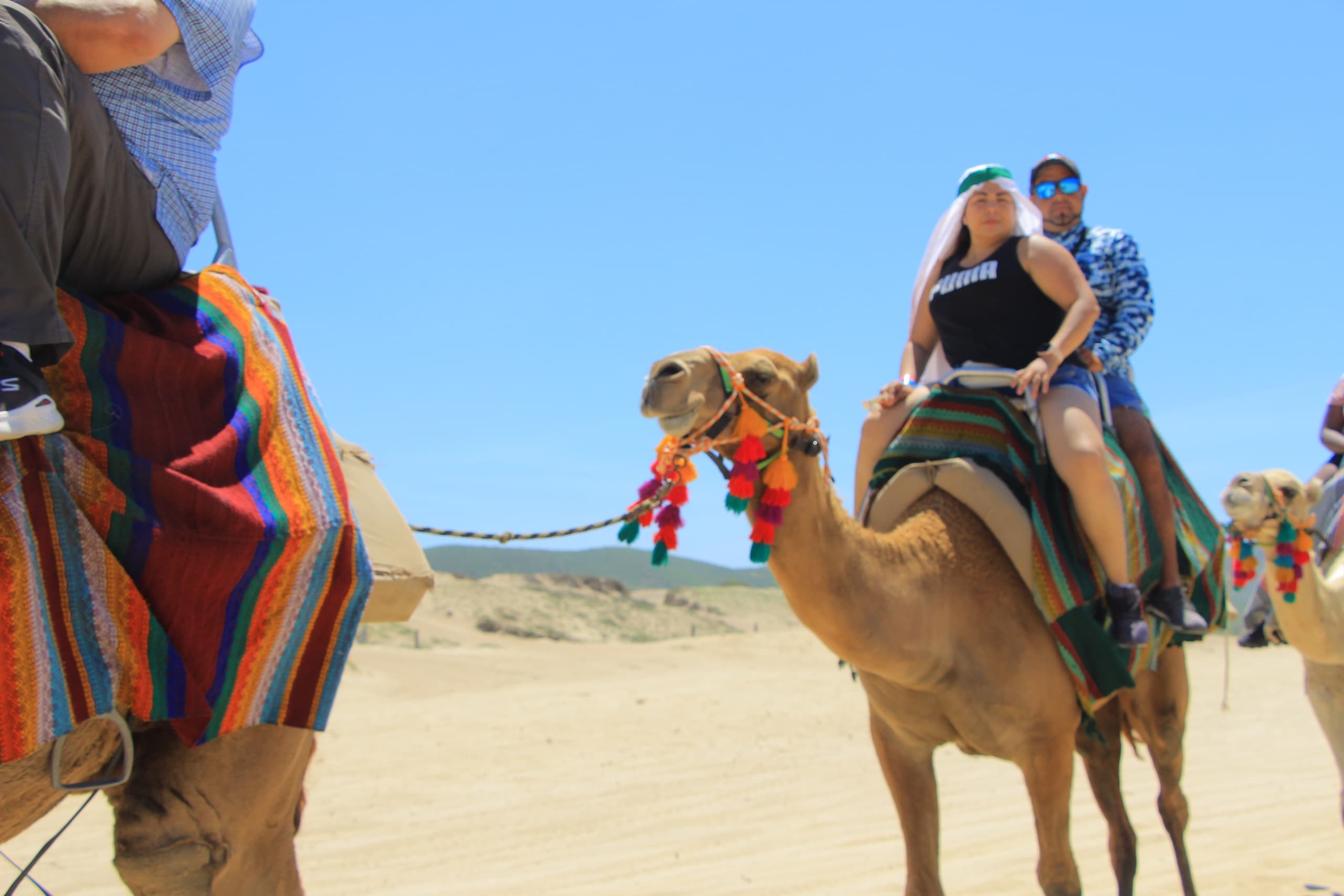Half-Day Park Pass in Los Cabos: Quads, Camels, Sky Bike & Tequila Tasting photo 1