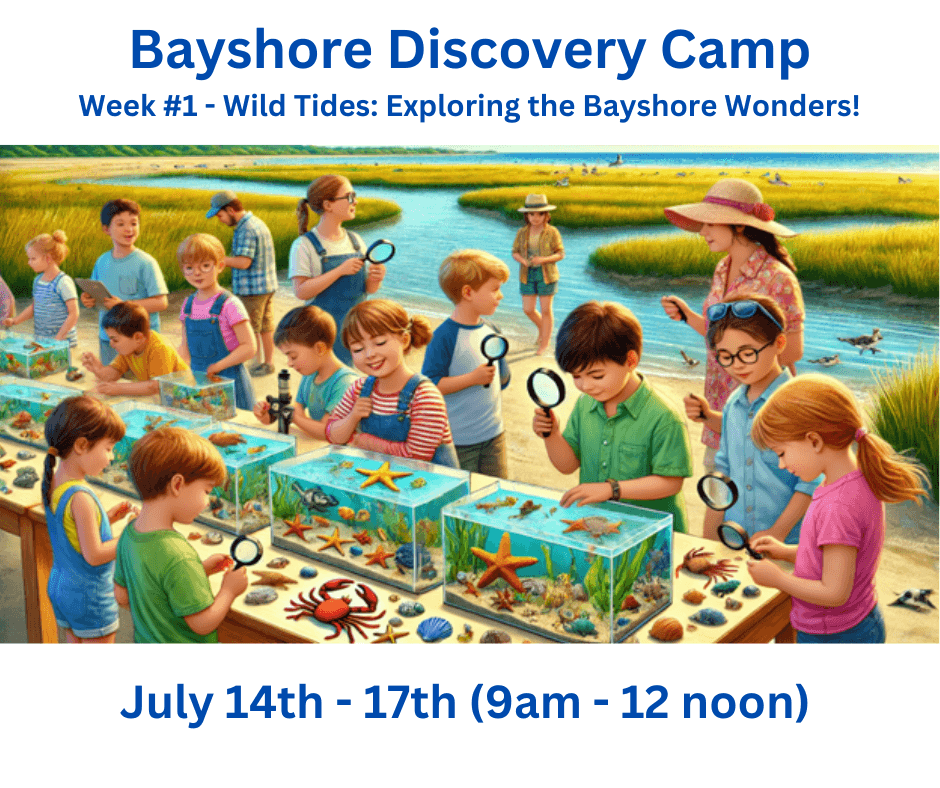 Bayshore Discovery Camp 2025 in Commercial Township, NJ