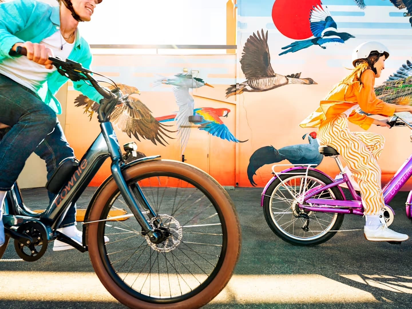 Electric Townie Go! Bike Rentals in Newport Beach, CA