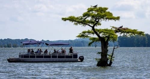 Pontoon Boat Rentals with Blue Mountain Lake Boat Livery