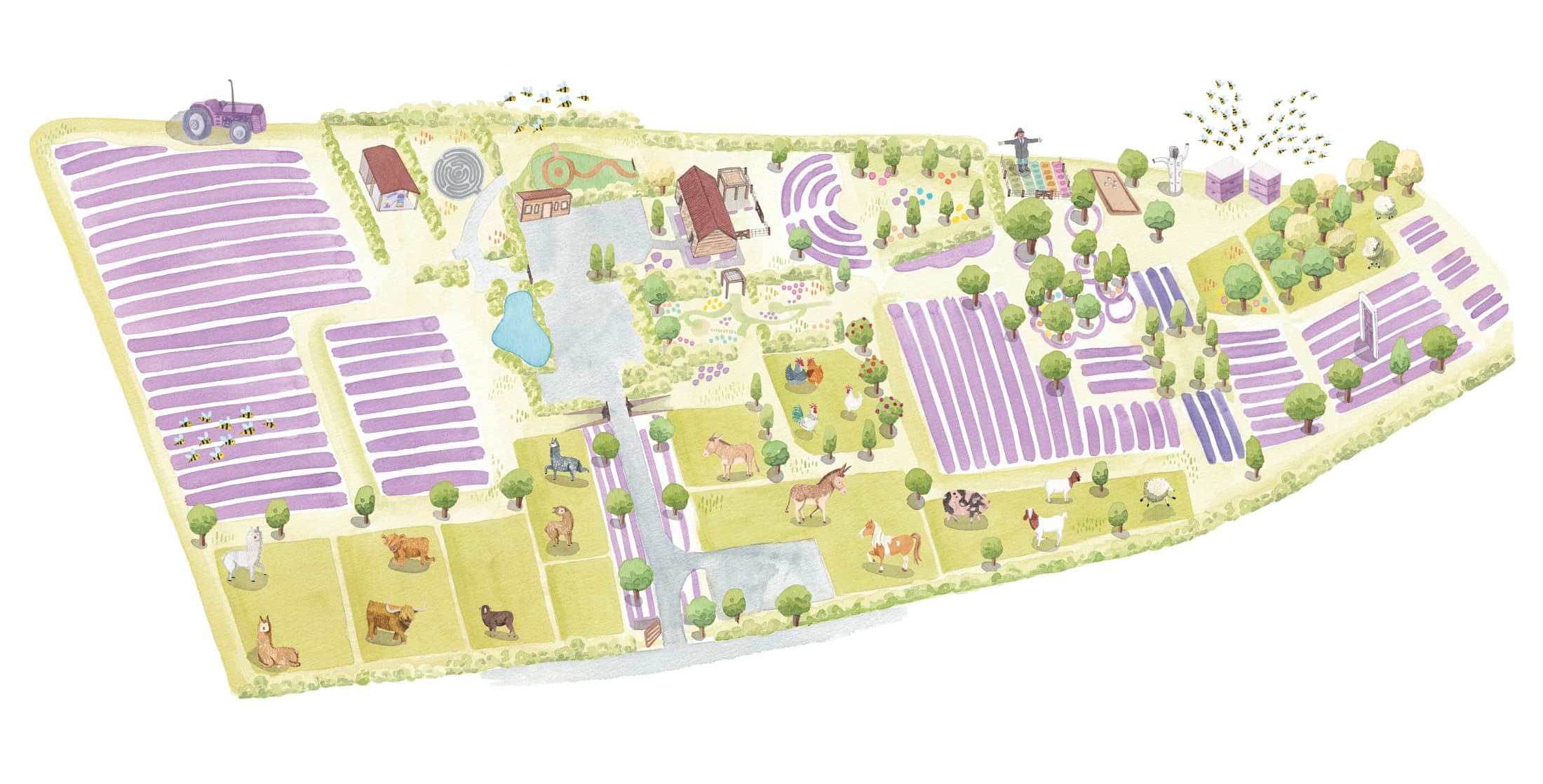 Land Adventures at Wanaka Lavender Farm: A Sensory Escape