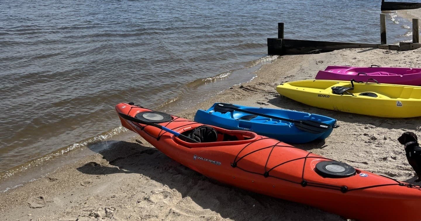Colorful kayaks lined on a sandy shoreline ready for rental