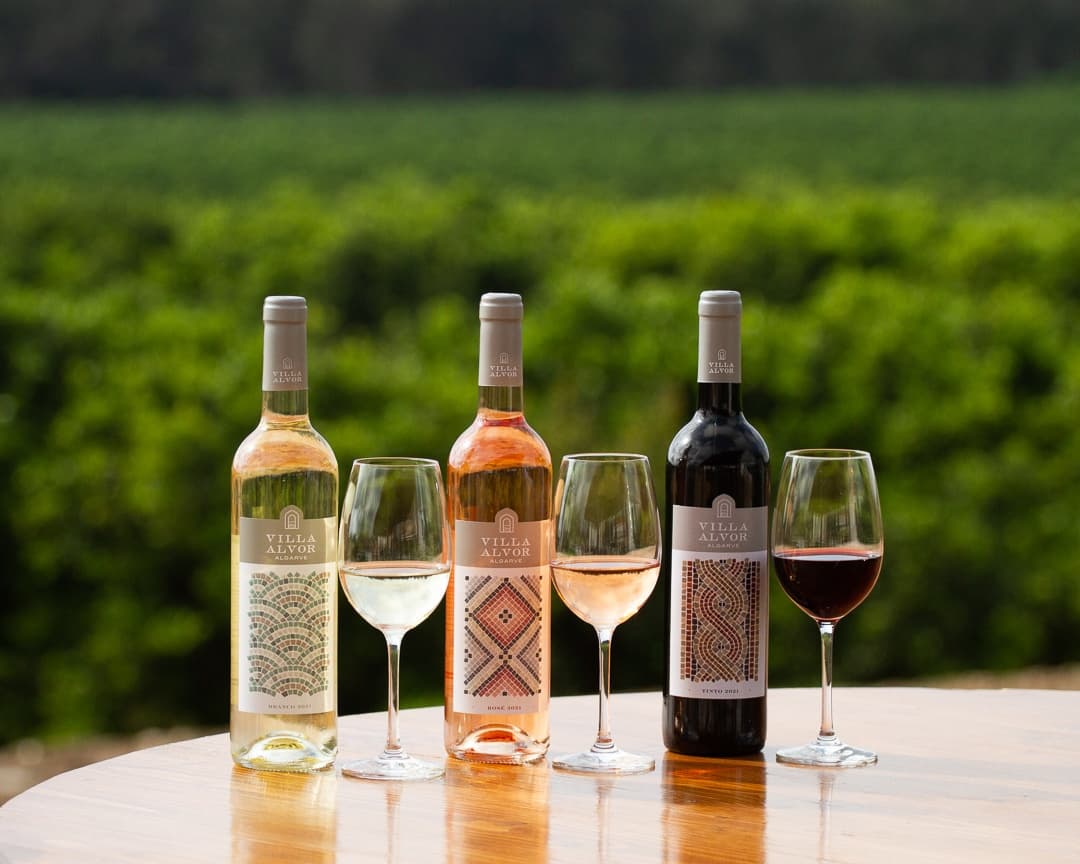 Wine Tasting Adventure at Villa Alvor in Algarve