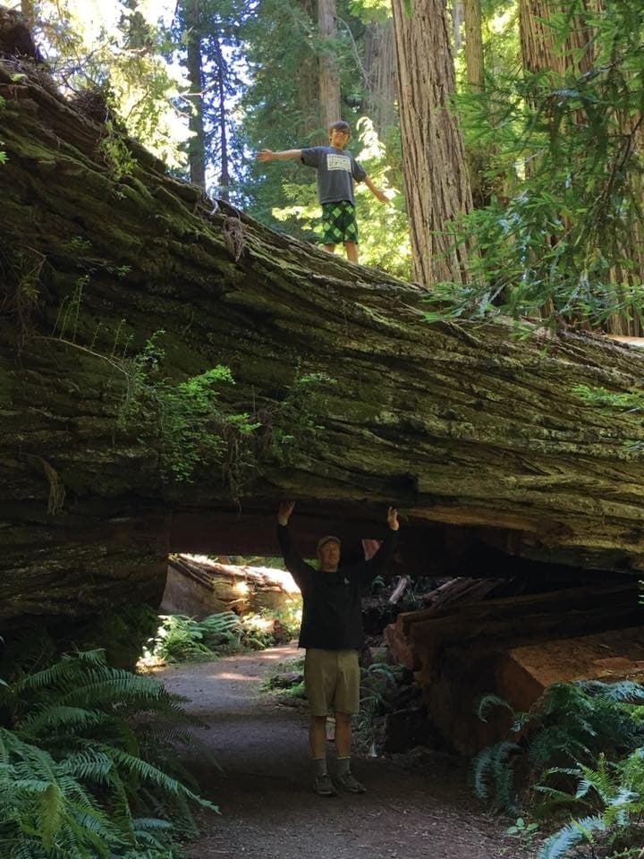 Walk Among Giants: Private Redwood National Park Tours photo 1