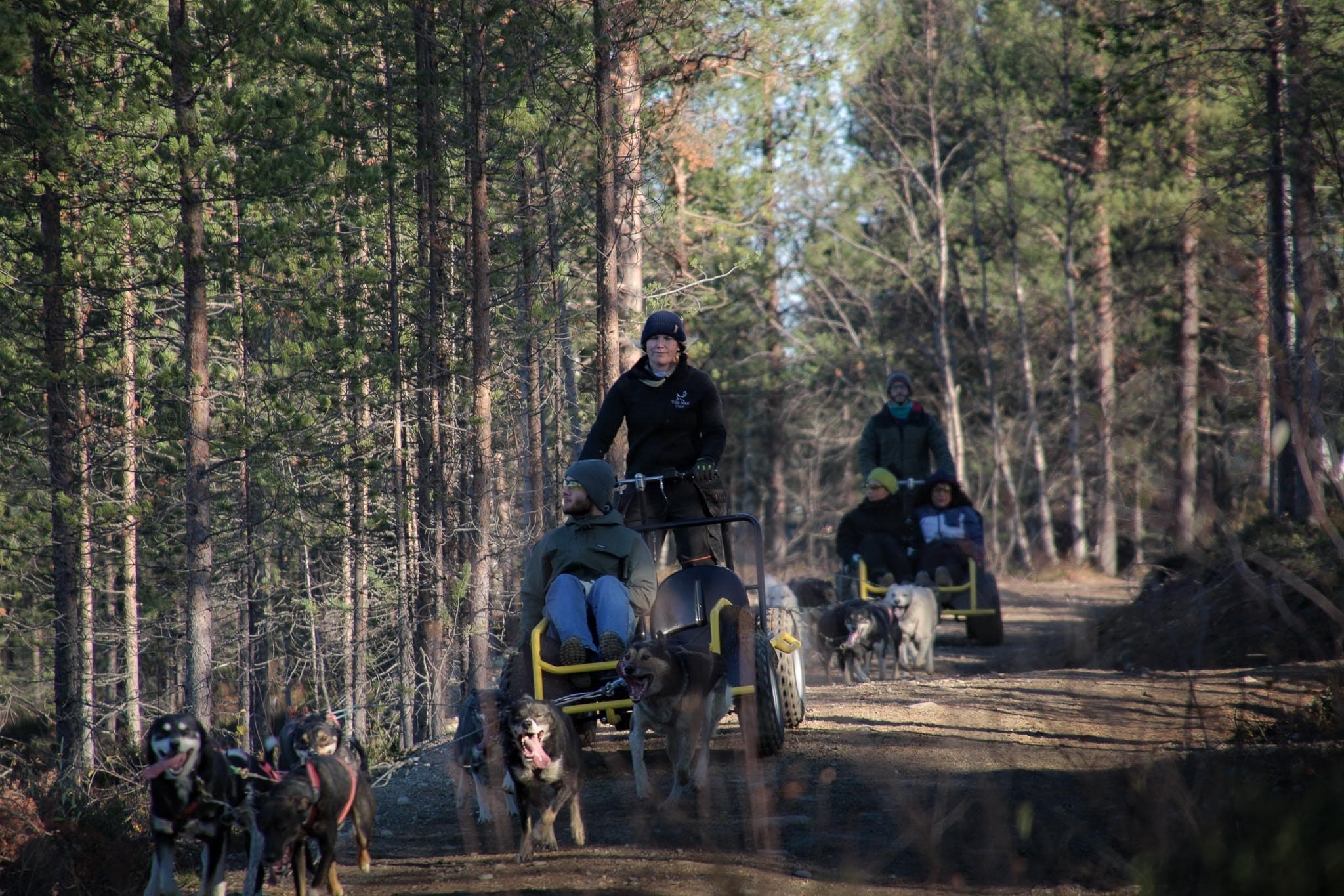 Winter Sports & Dog Sledding at Wilderness Hotel - Juutua