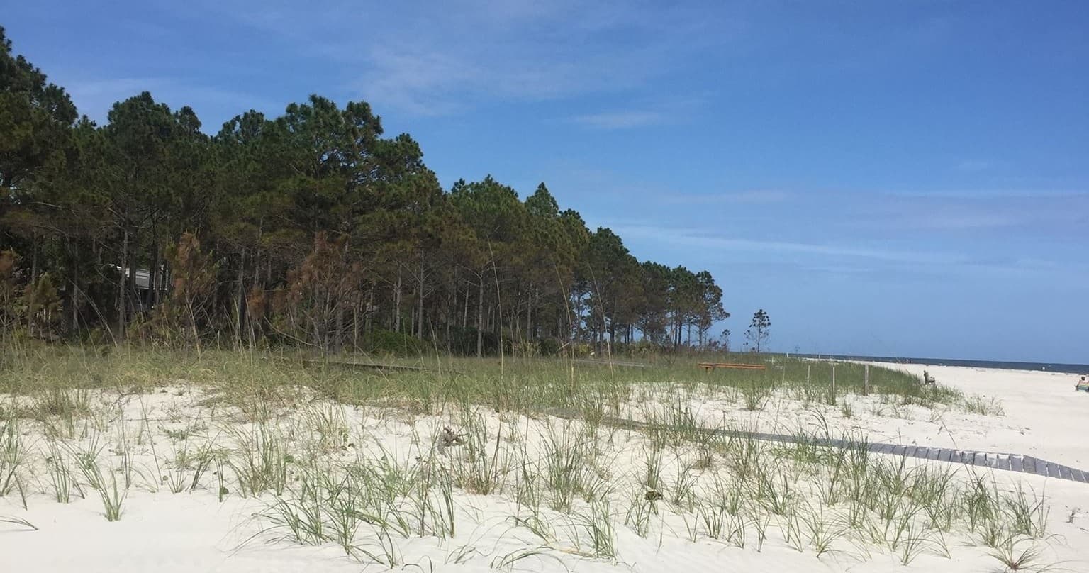 Explore Hilton Head Island on a 10-Day Bike Rental Adventure