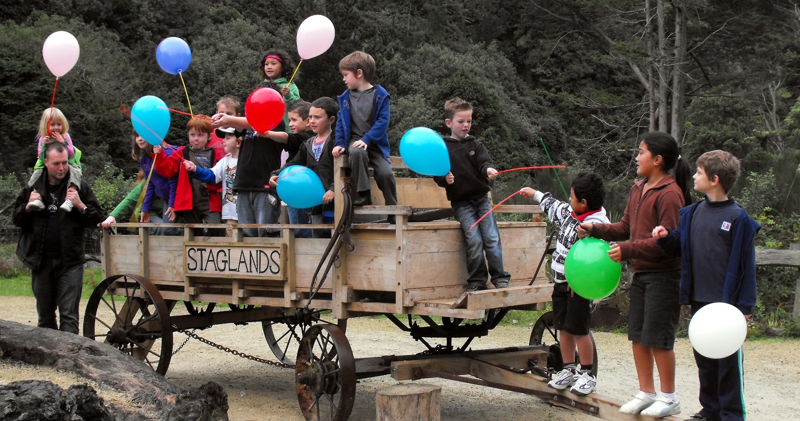 Wildlife & Celebration at Staglands Wildlife Reserve