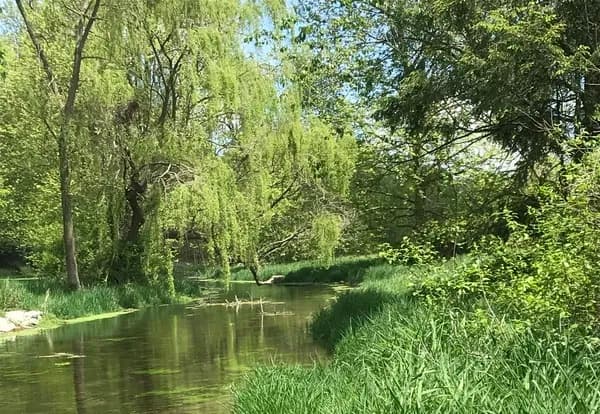 Fly Fishing Adventure at Falling Springs with Precision Fly & Tackle