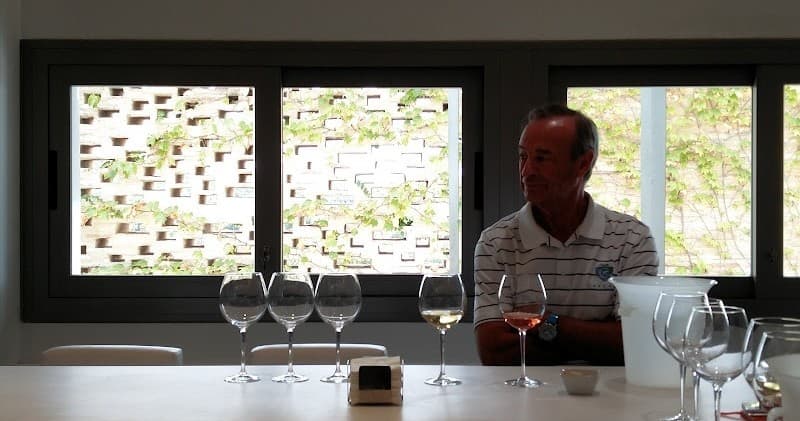 Wine Tasting Adventure in Jerez with Farm Experiences & Tours