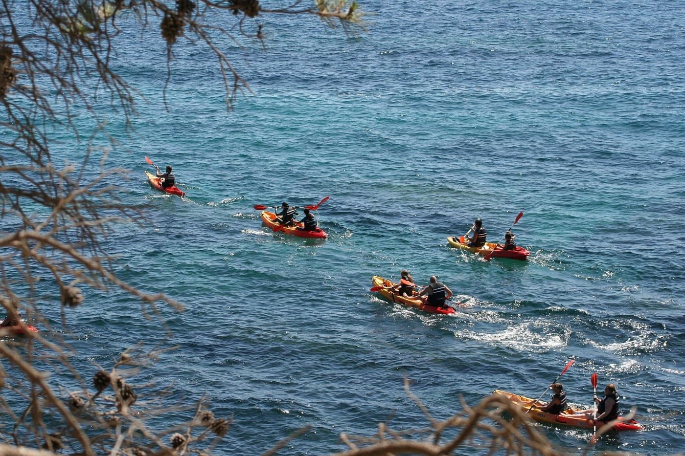 Group kayakers paddling in open sea with coastal shrub framing