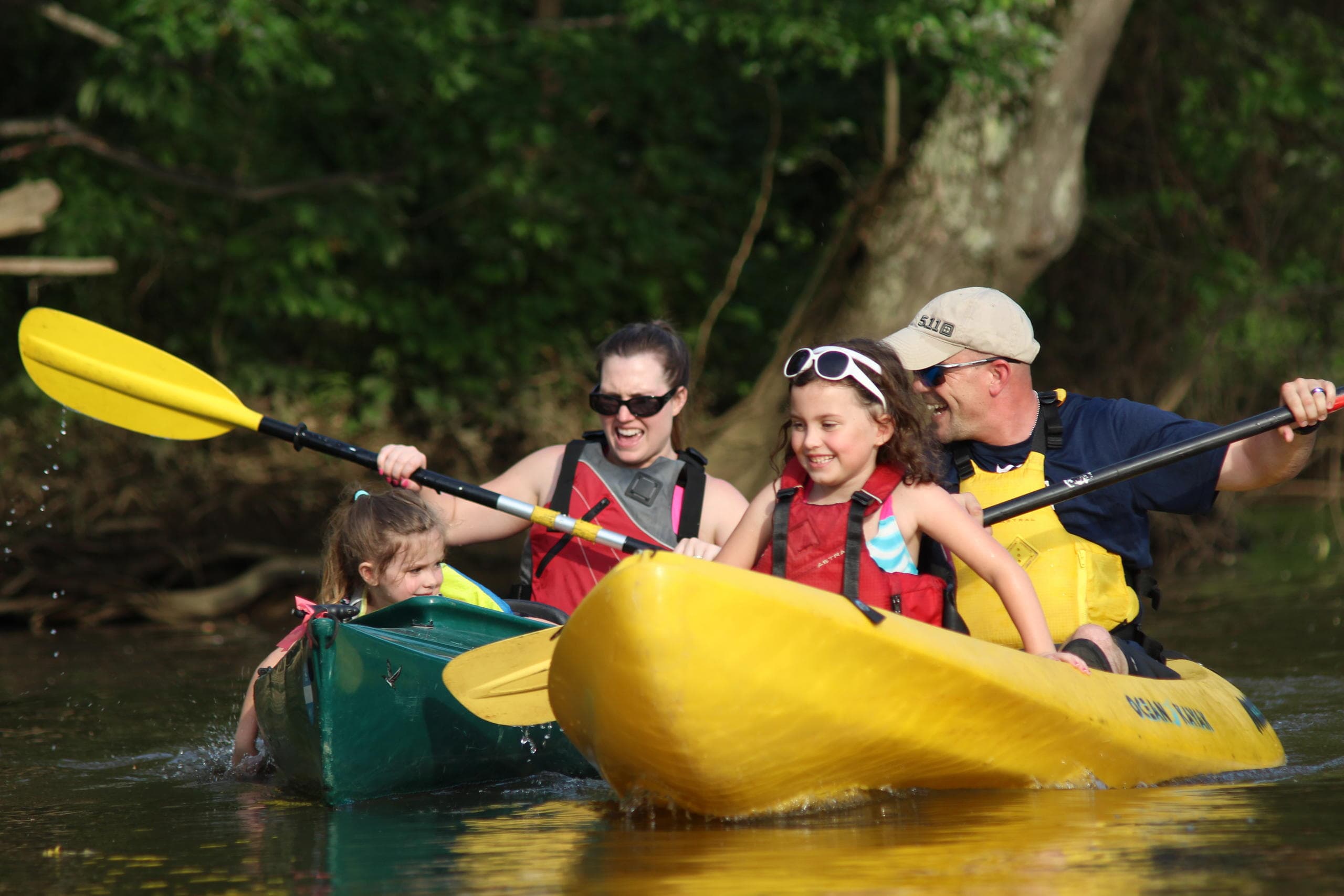 Explore Richmond's Scenic Waterways with Flatwater Kayaking & SUP Adventures