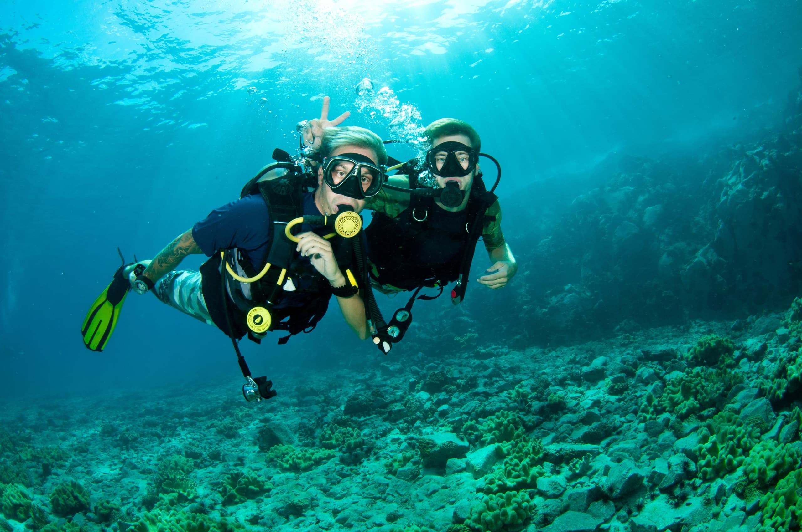 Try Scuba Diving in West Palm Beach: Beginner-Friendly Underwater Adventures