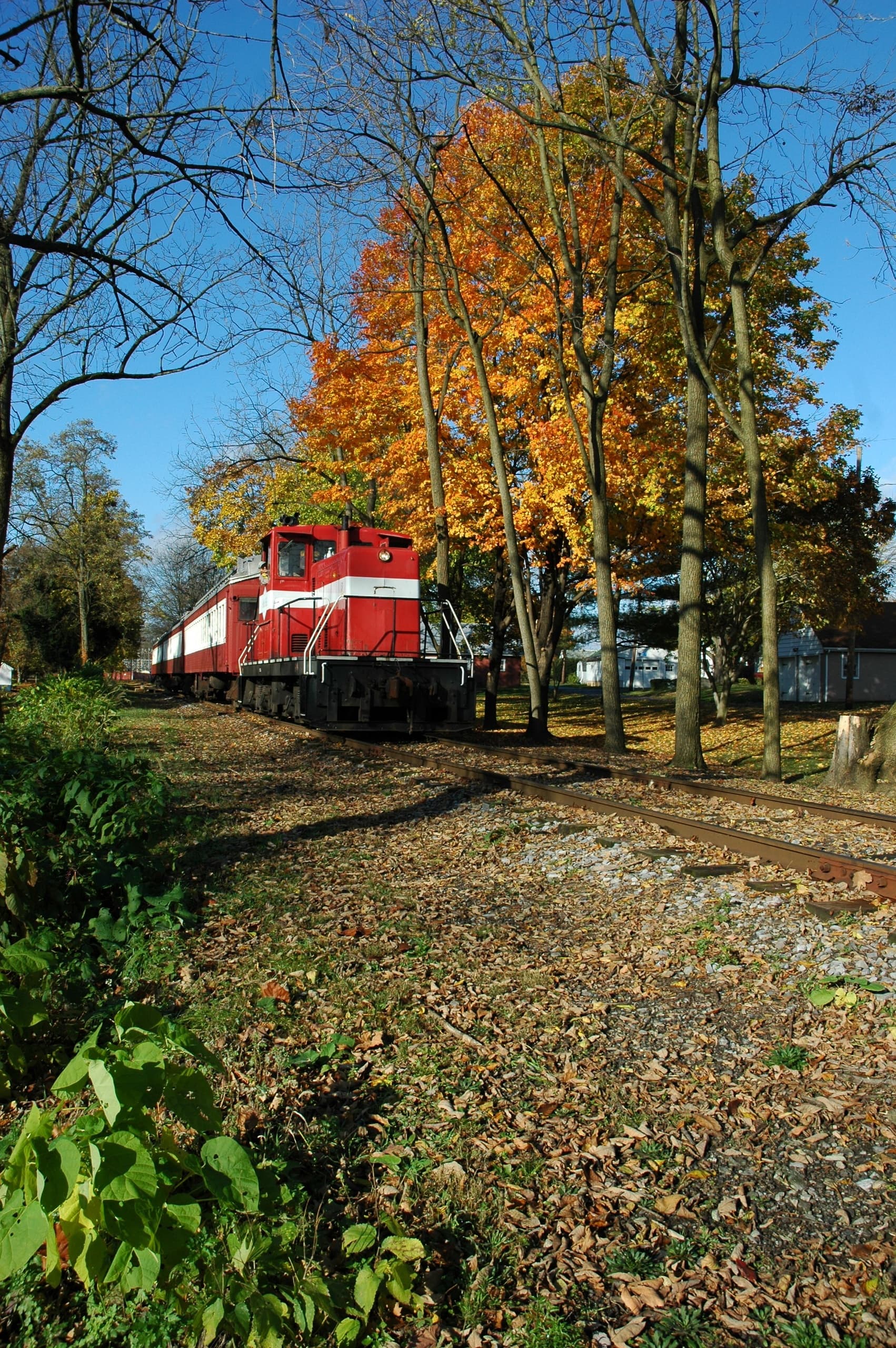 Land Adventures: Fall Foliage Express with Middletown & Hummelstown Railroad