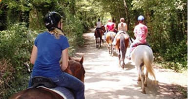 Horseback Riding & Wine Tour in Chianti | Under The Tuscan Sun Tours