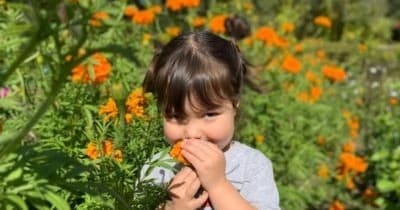 Hands-On Farm Volunteering with Planet Boston in Sudbury