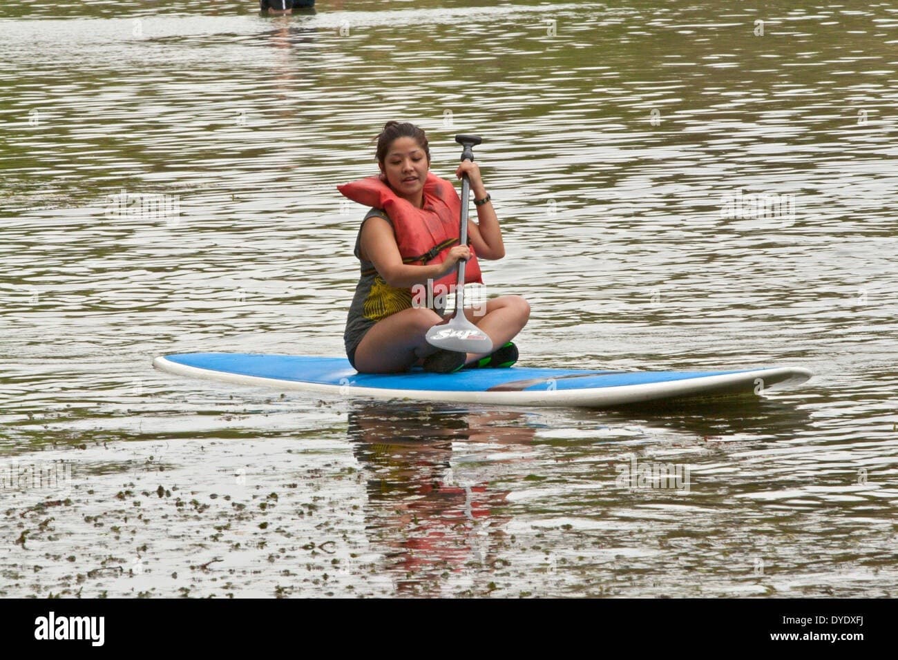 Glide Little Traverse Bay: Paddleboard Rentals in Petoskey, Michigan