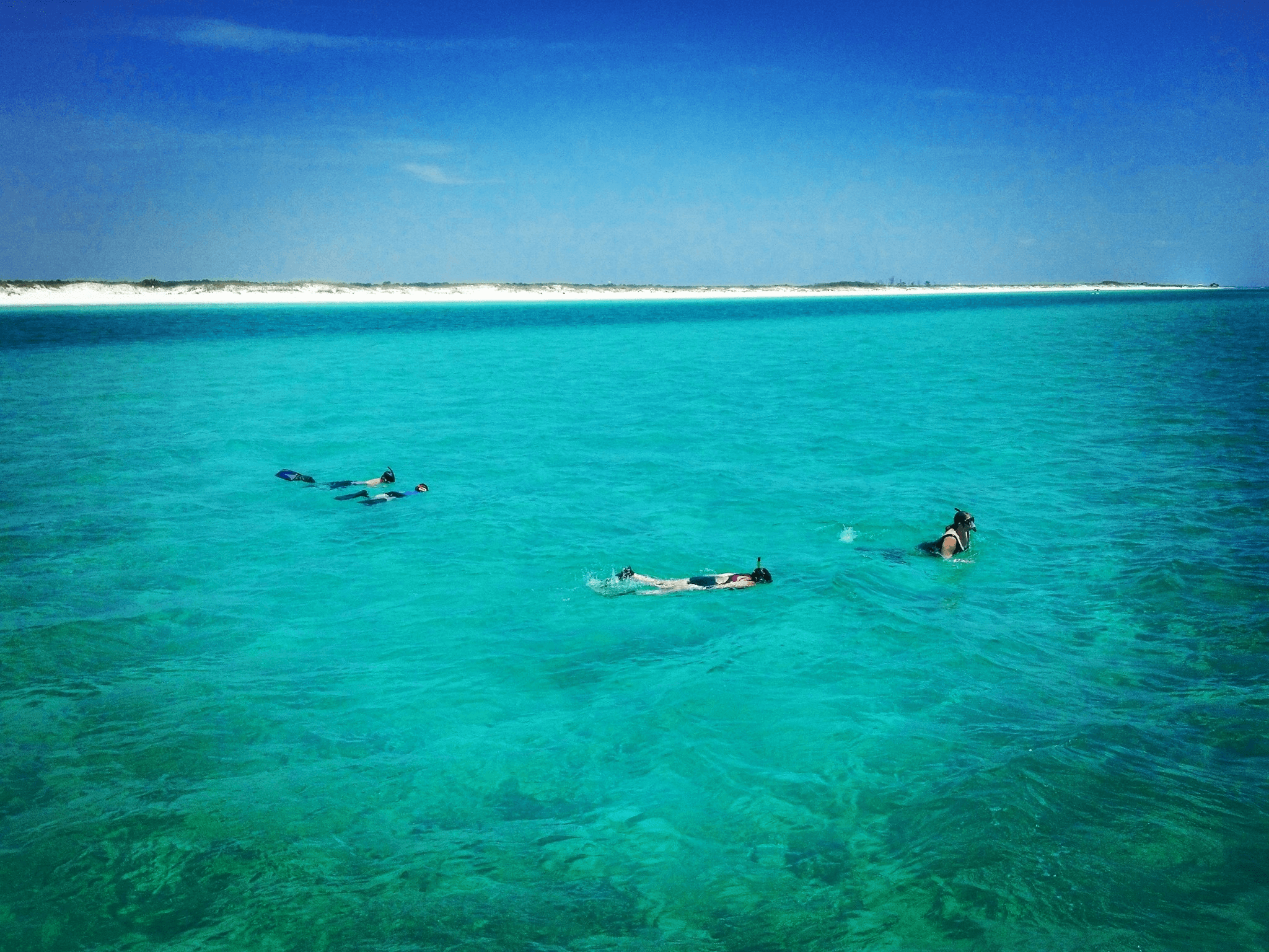 Dolphin Watching & Snorkeling with Capt Zach's Adventures in Panama City