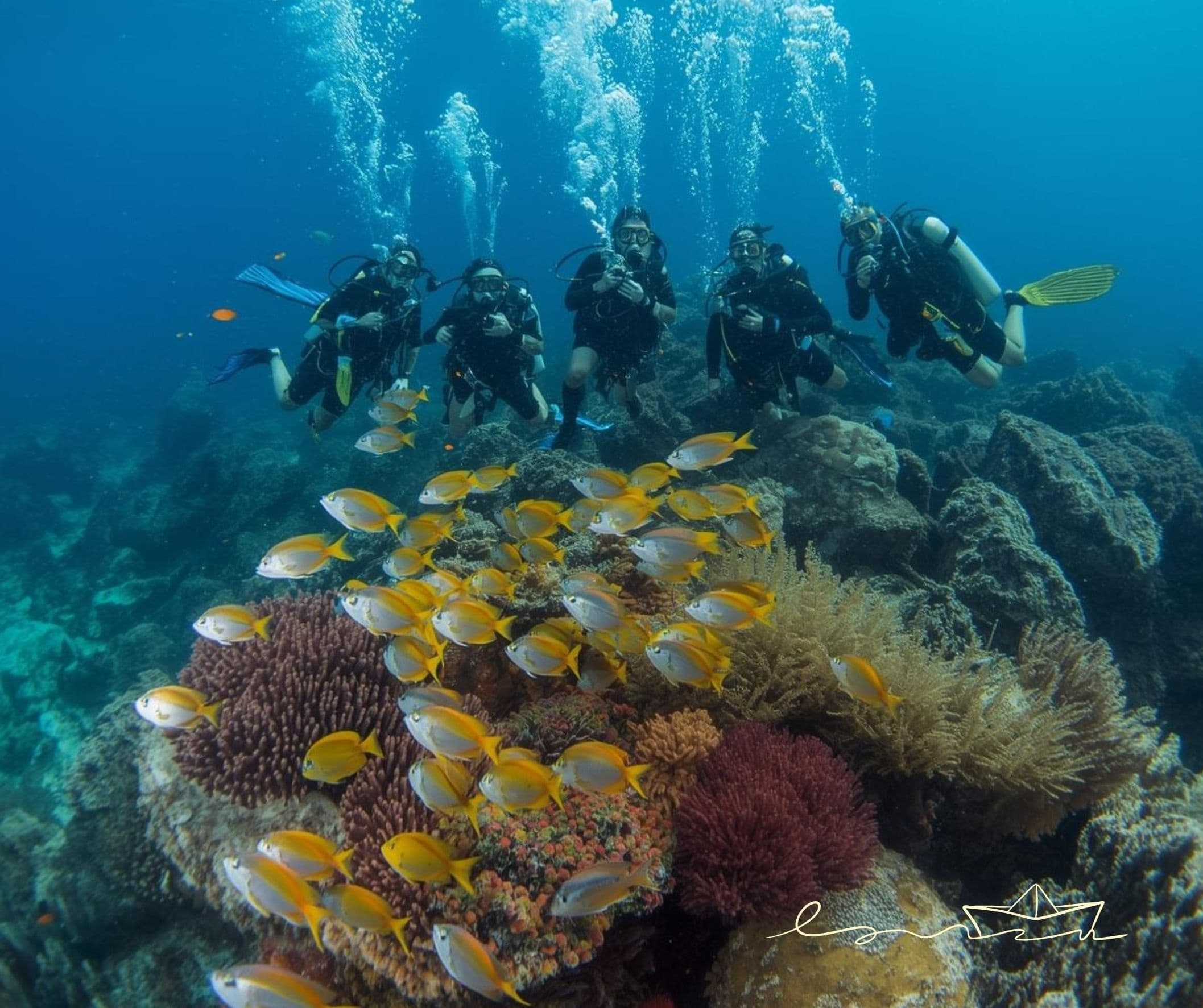 Dive Culebra Island: Full-Day Reefs and Snorkeling from Fajardo