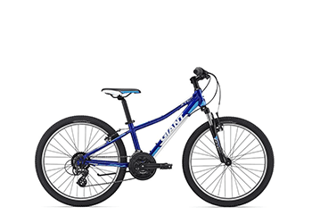 Bike Rentals & Family Adventures in Central Park with NYC Bike Rent