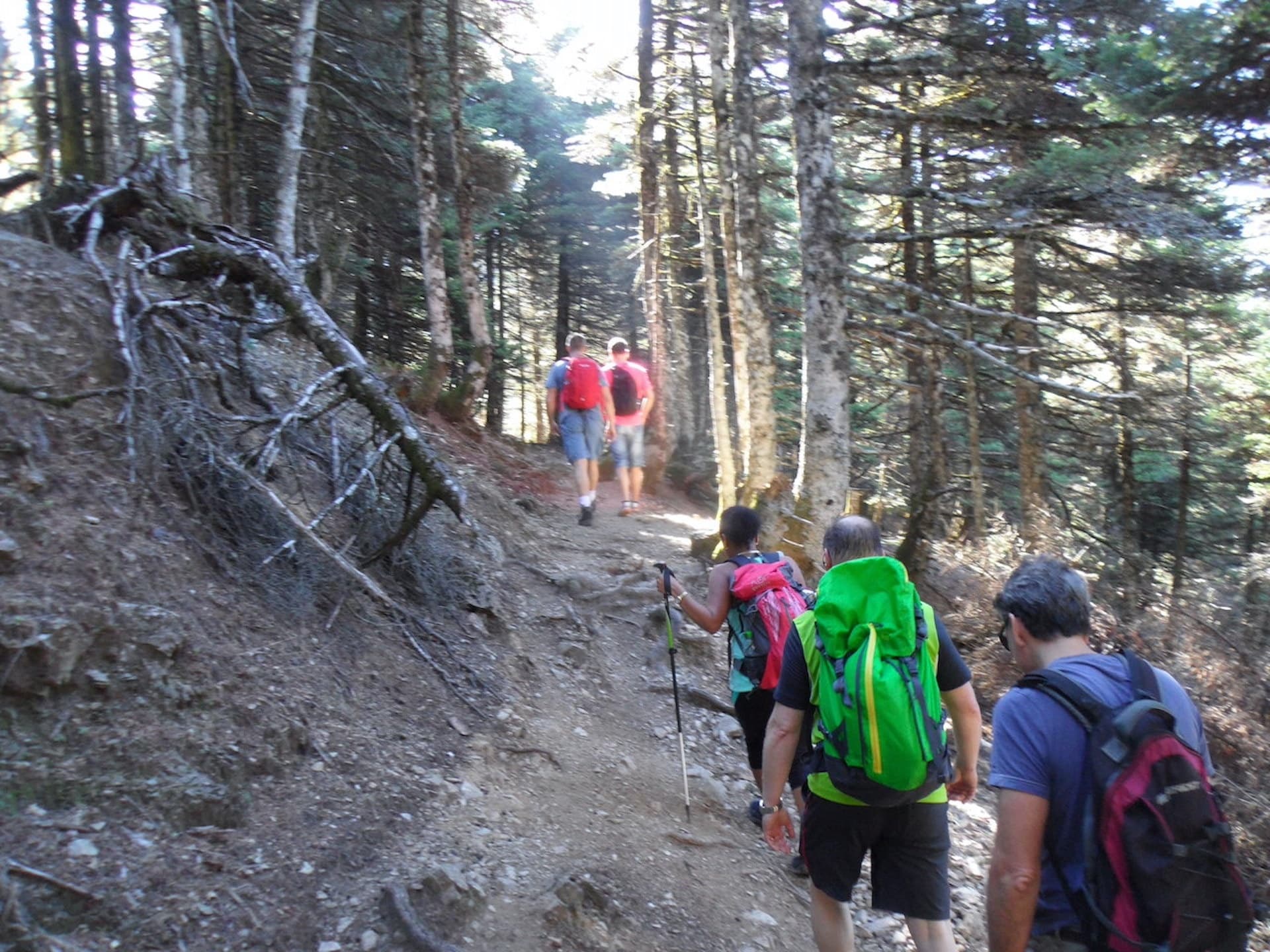 Hiking Adventure with Evia Adventure Tours in Evia Mountain