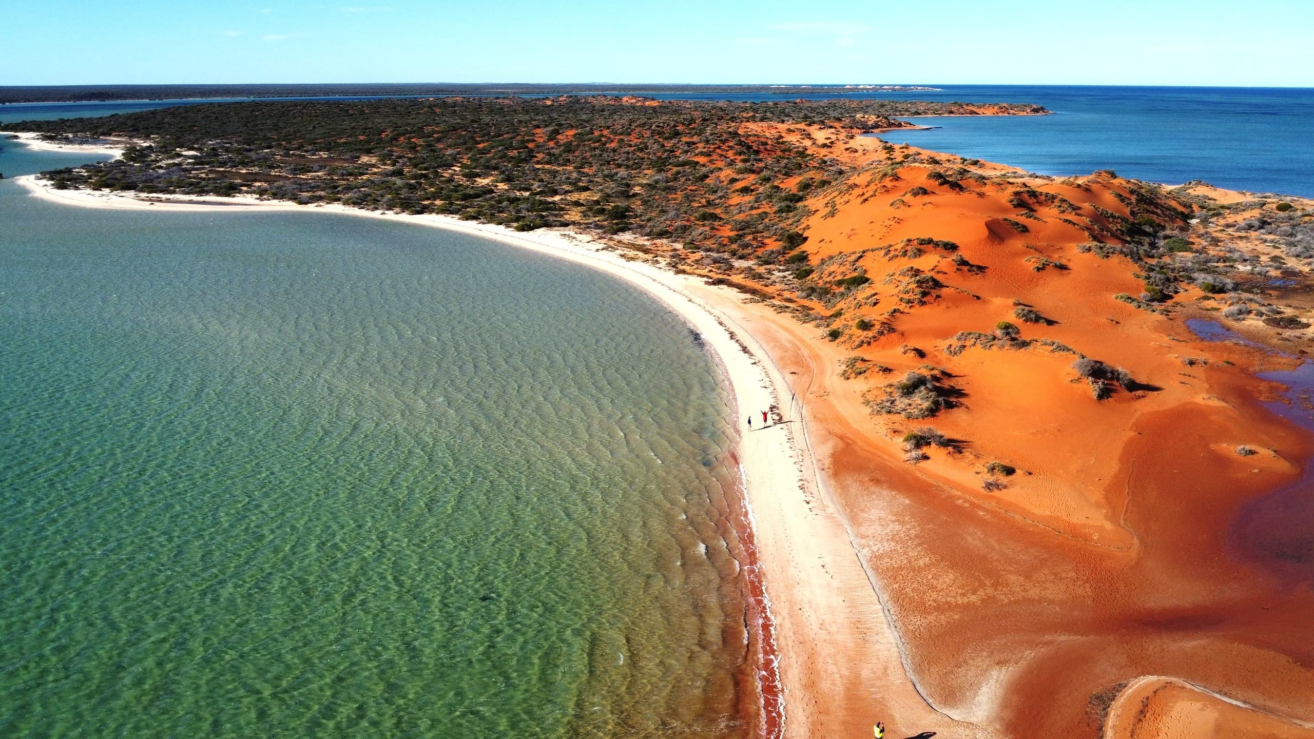 Big Lagoon BBQ: Perfect Nature Cruises in Shark Bay