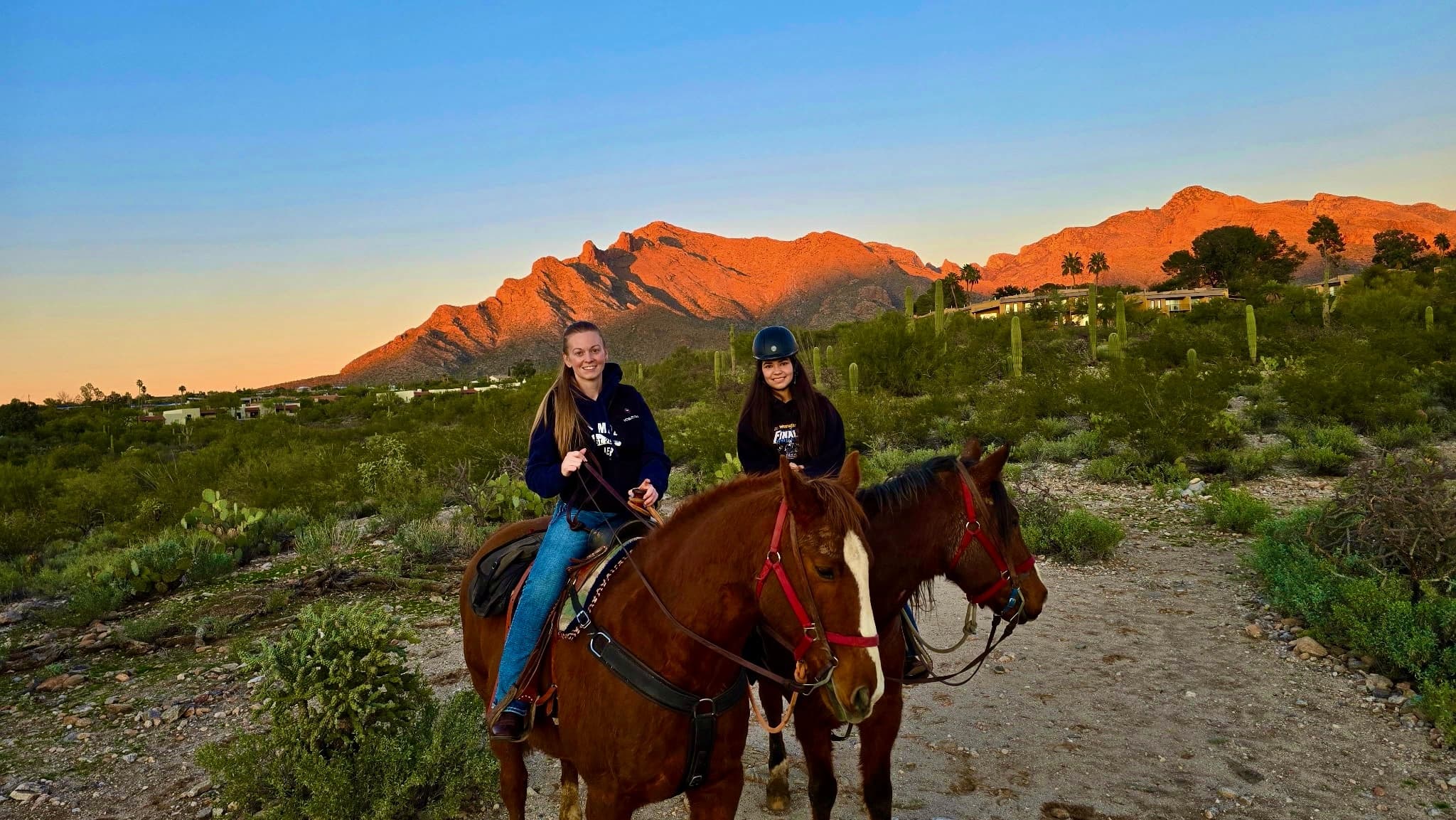 Half-Hour Under the Arizona Sky: Westward Look 30-Minute Easy Trail Ride