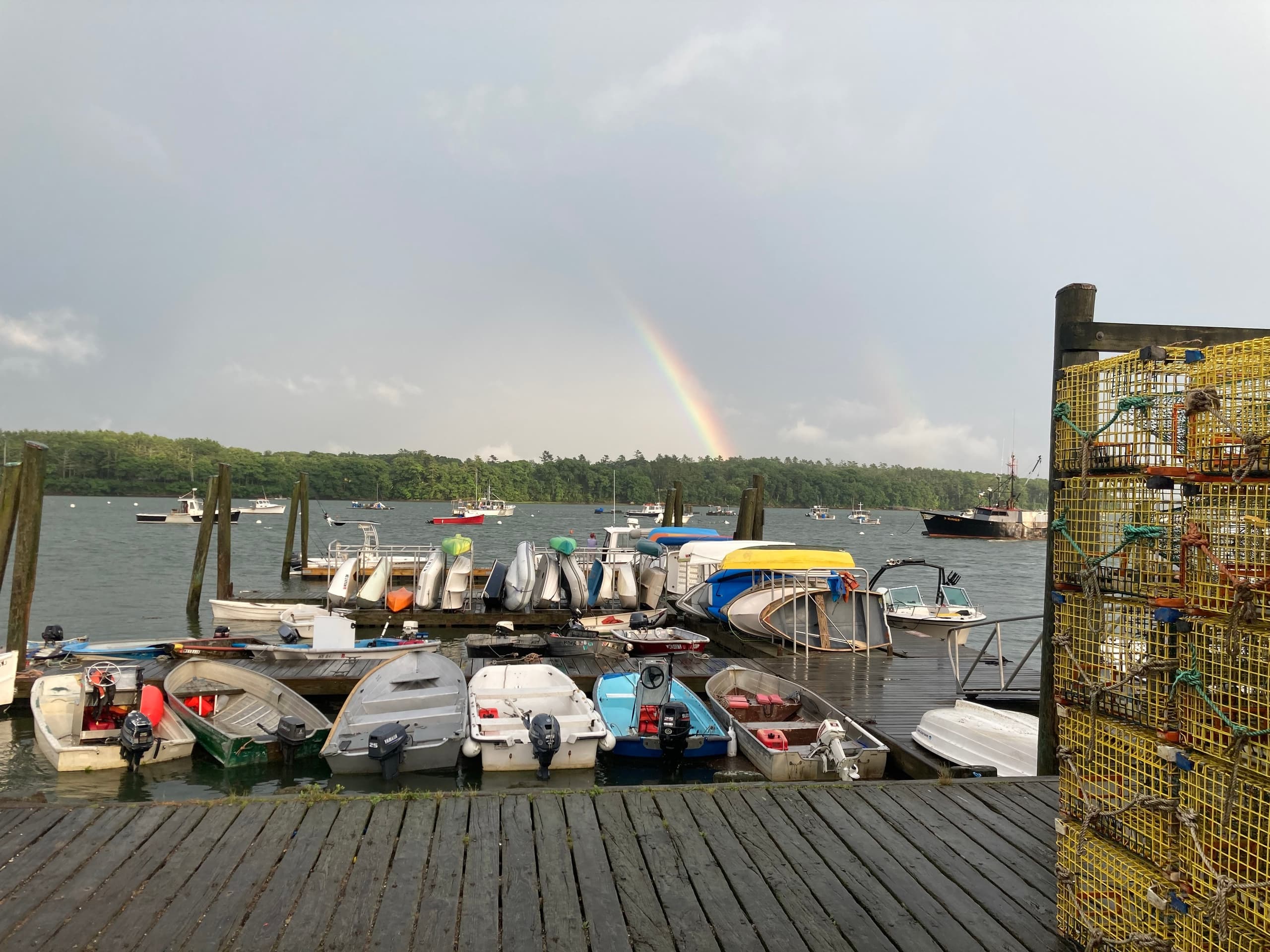 Coastal Cruise & Lobster Roll with Seacoast Coast Tours of Freeport